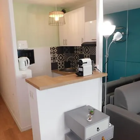 Victoria Studio Close To The Beach And Festival Palace 公寓 *